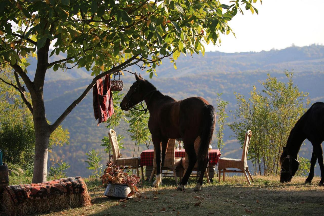 Lost Ridge Inn, Brewery & Ranch Signagi Exteriér fotografie